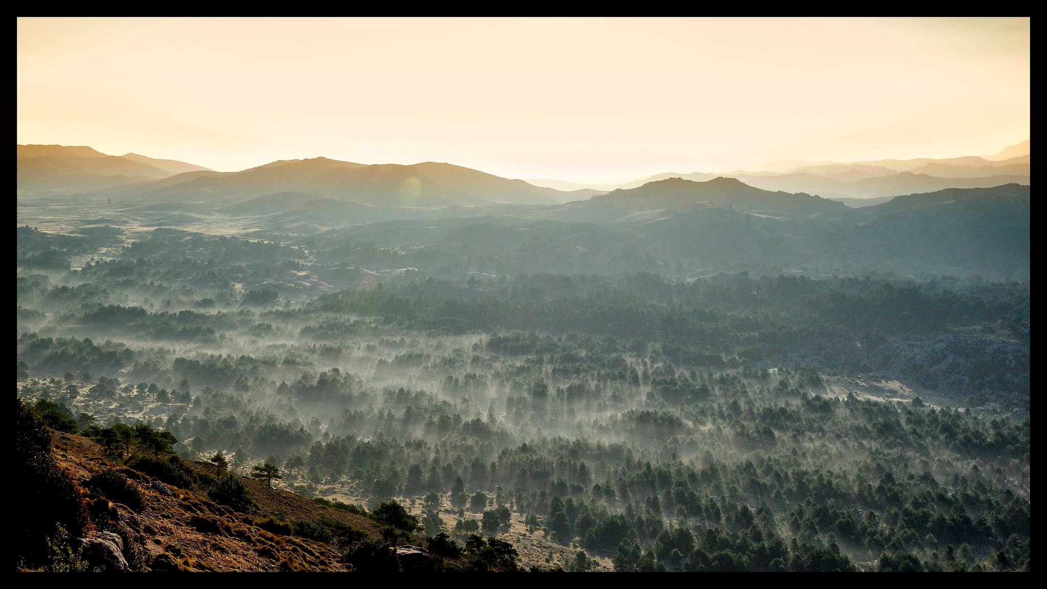 Tuesday Treats: Cool Sierras MTB Guiding