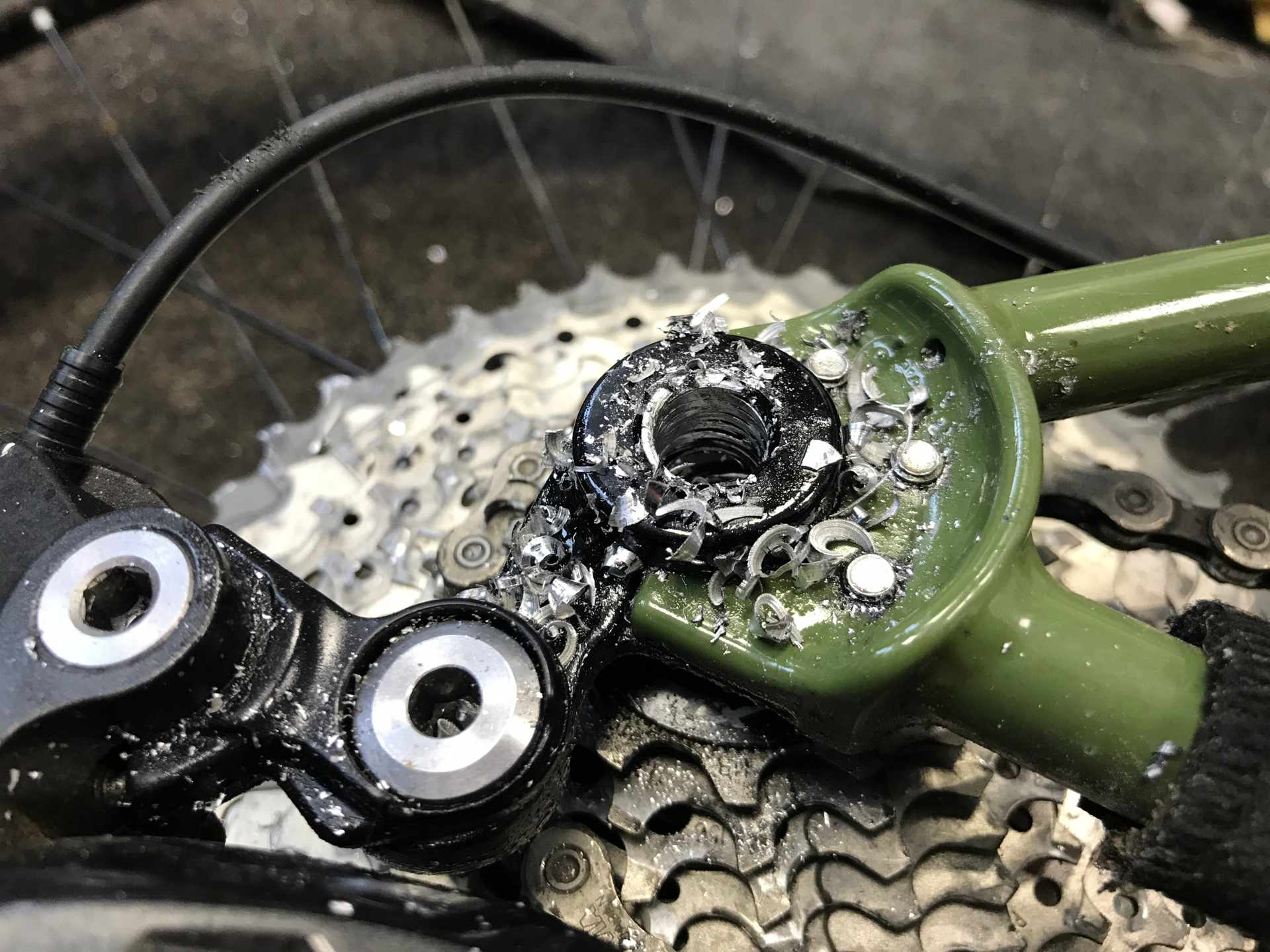Do I love my bike? Ragley Piglet