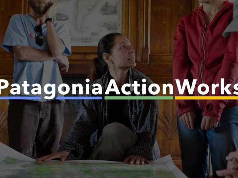 Black Friday, Patagonia style – Fight the Environmental Crisis