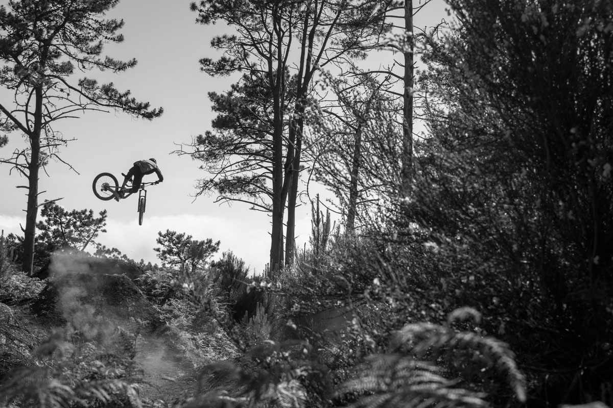 Brendan Fairclough A Dog's Life