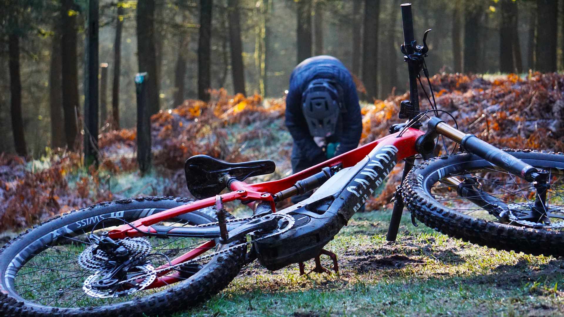 Spectral:ON Neuron:ON Canyon eMTB