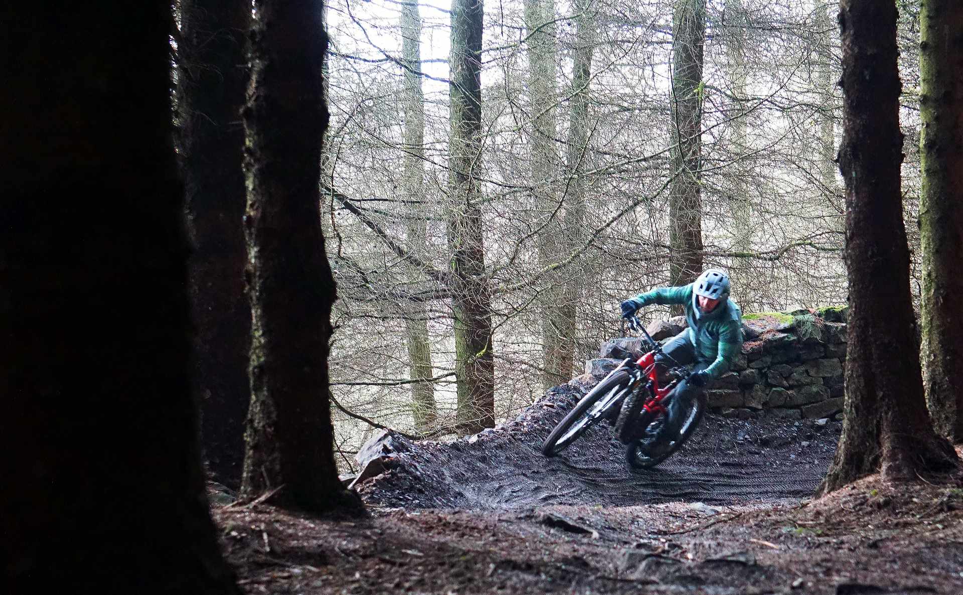 Spectral:ON Neuron:ON Canyon eMTB