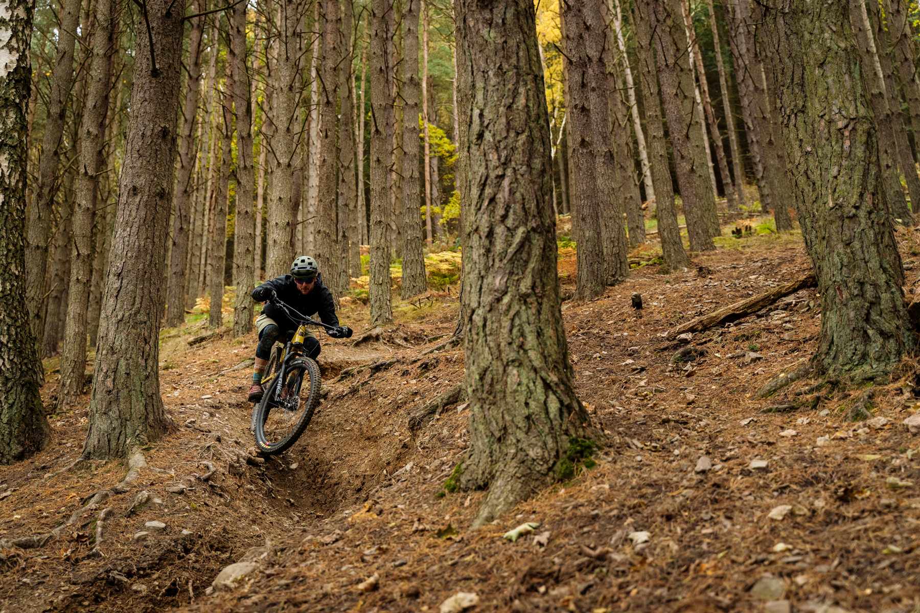 Singletrack Magazine Issue 129 | Guiding light