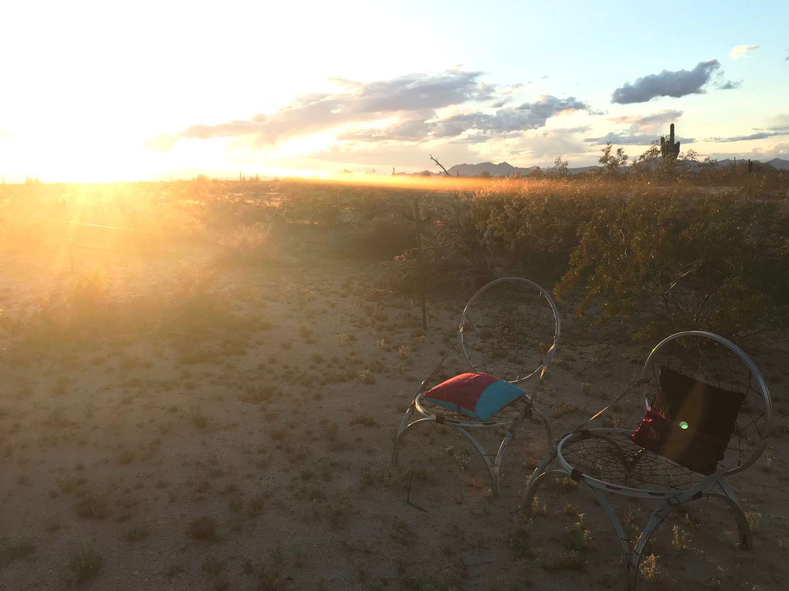 Diversion Diary – Alone During Corona Virus Lockdown