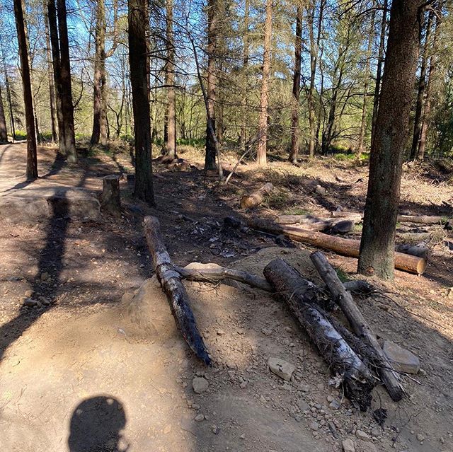 Someone smashed Steel City Downhill and Peaty is Pissed!