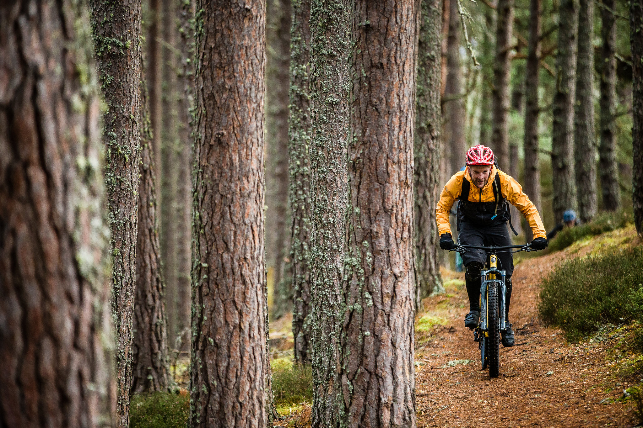 DMBinS Survey | What Trails Do You Want?