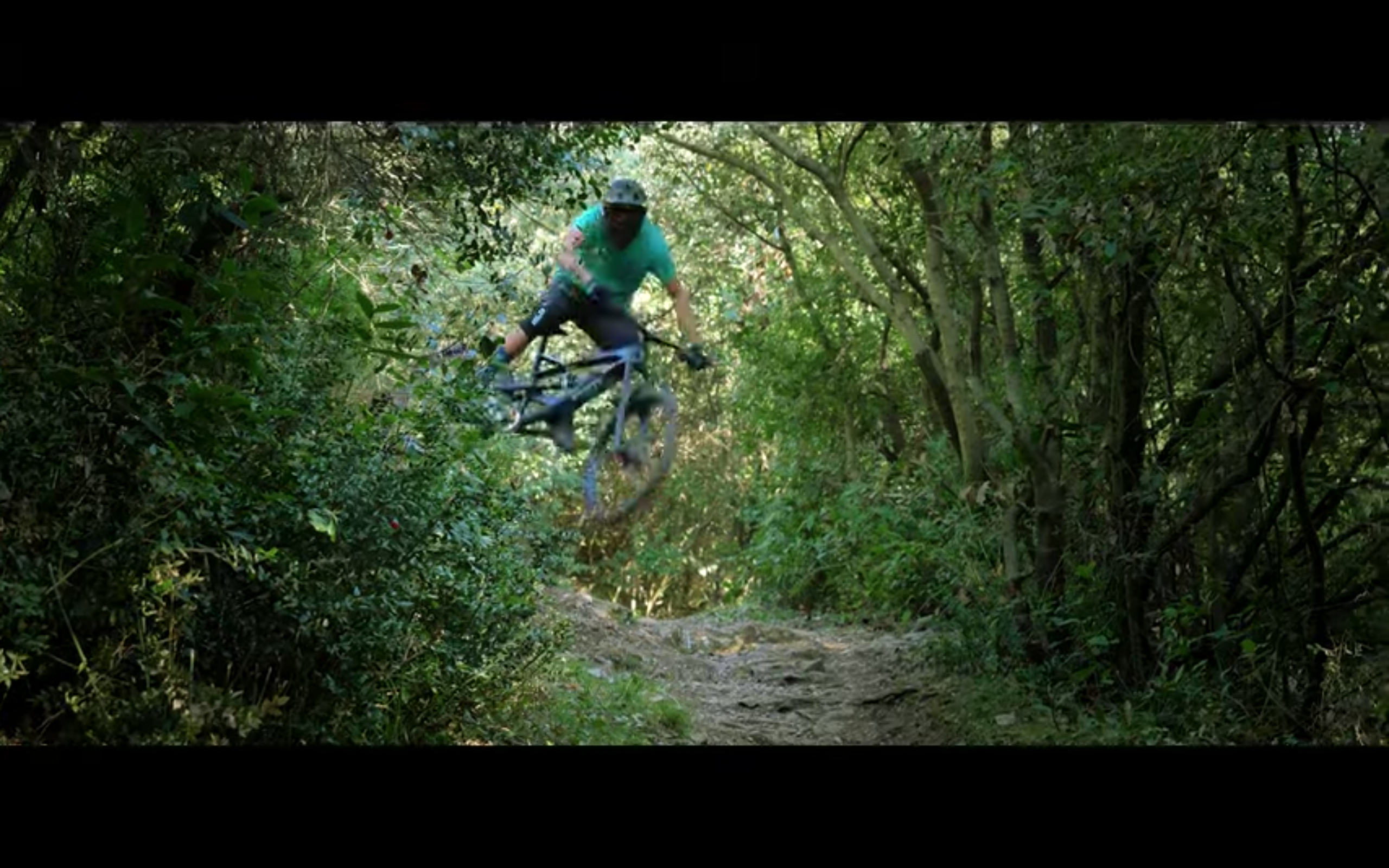 The Quiet Of Quarantine |  Hear the Sounds of Shred!