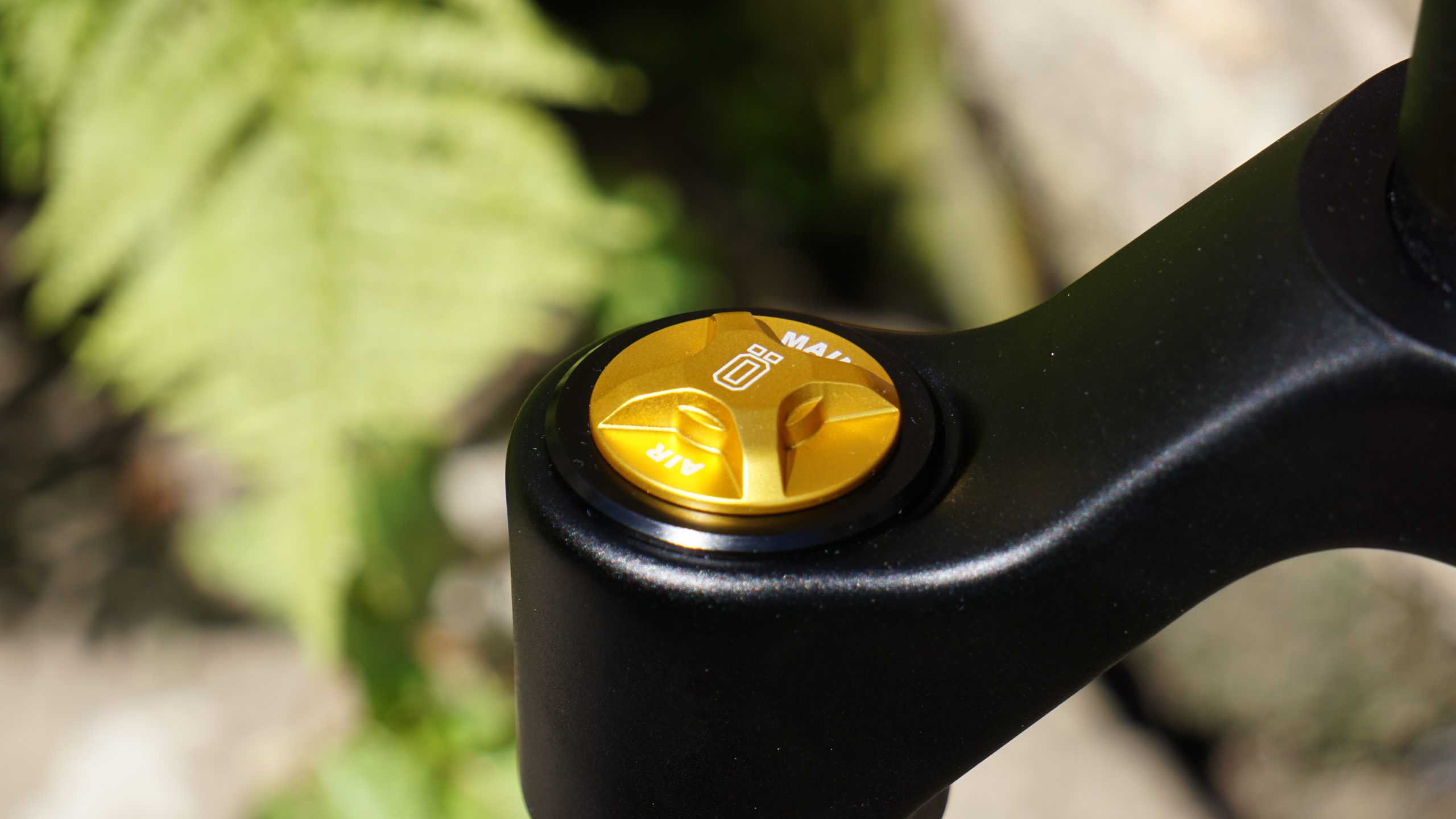 RXF36 ohlins fork