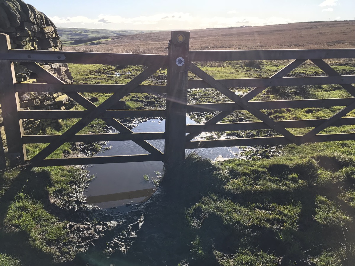 bad gate