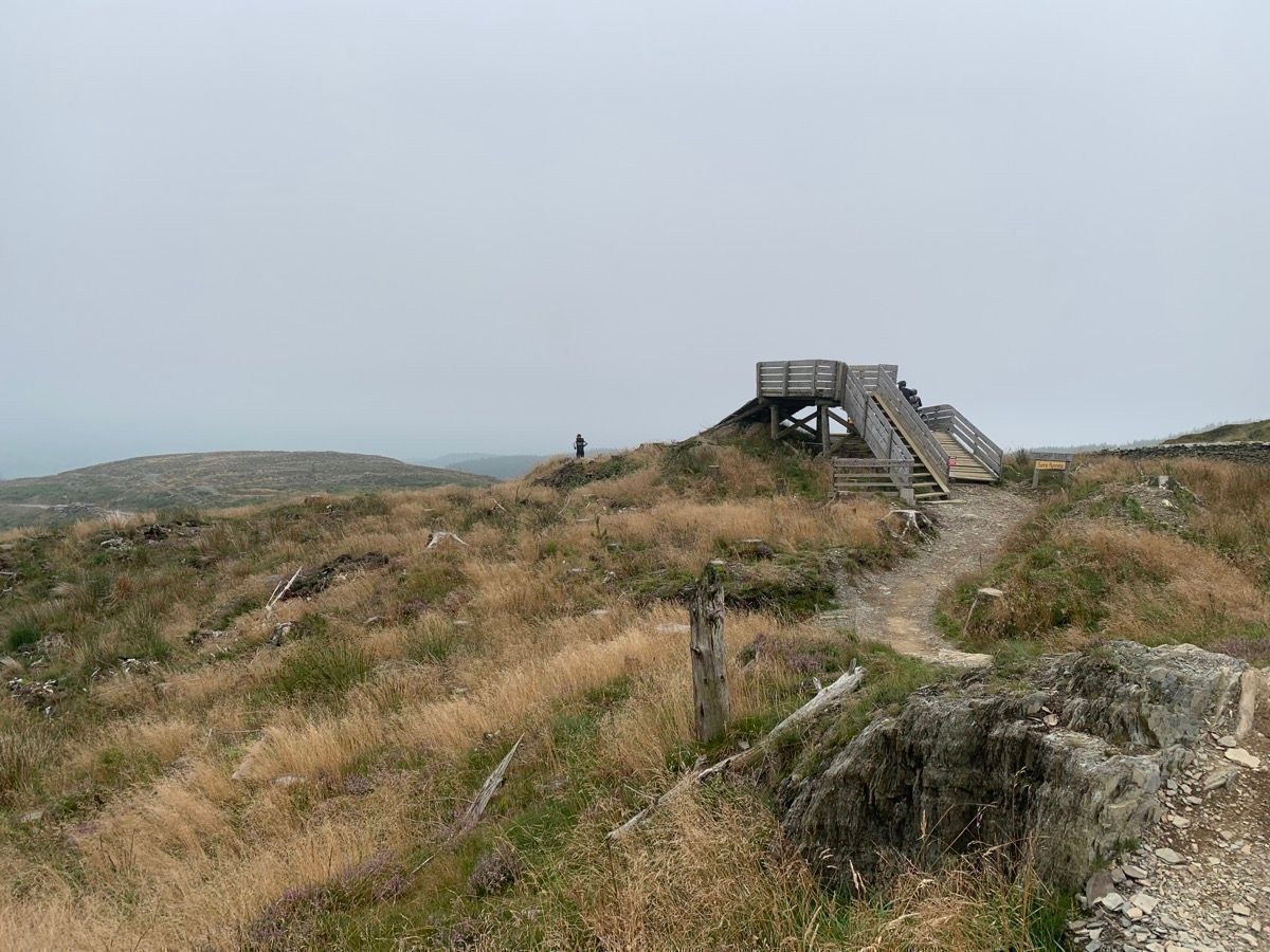Dyfi Bike Park