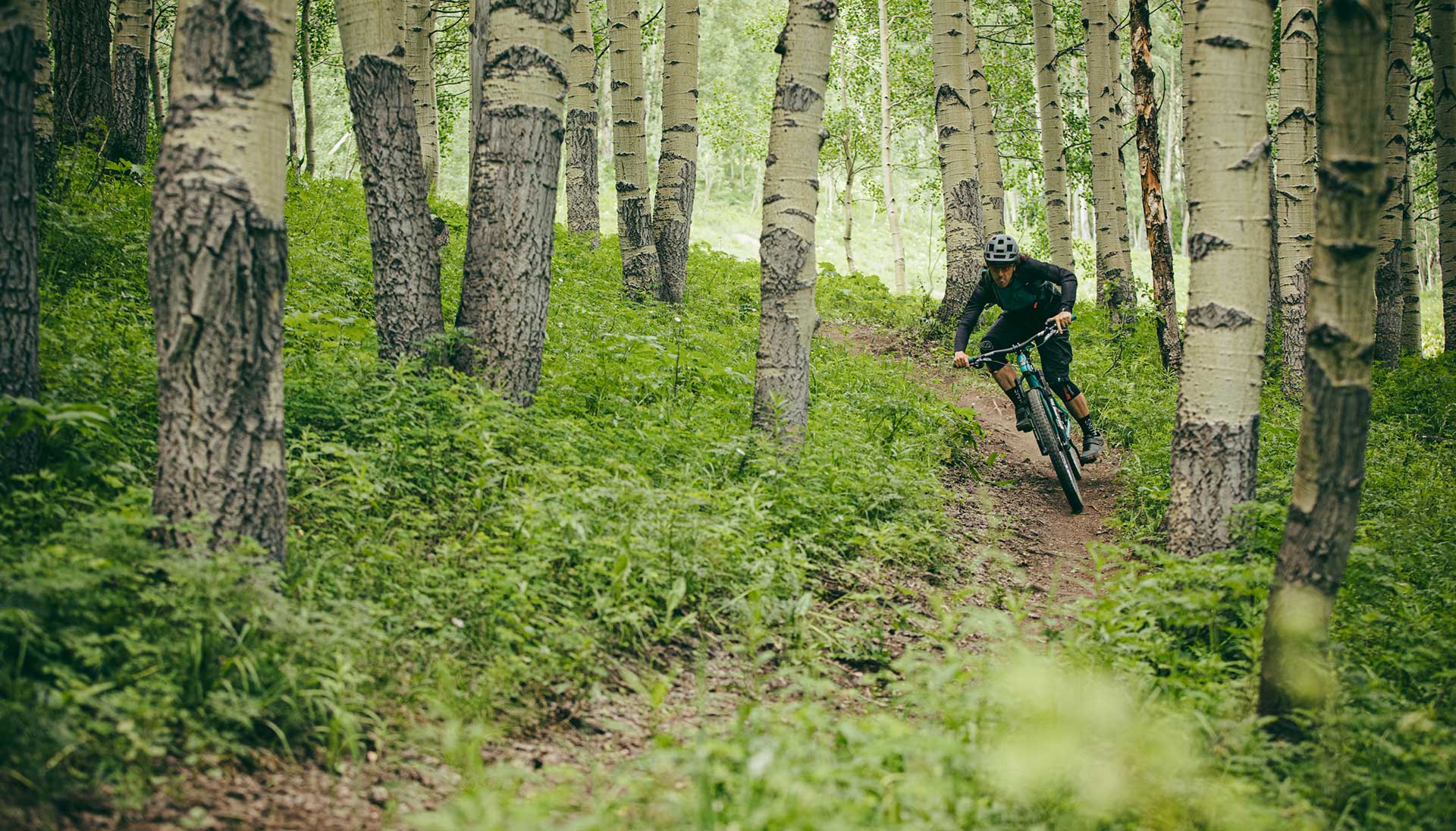Yeti Launches Yeti ARC Production Bikes For Those Without Nine Grand