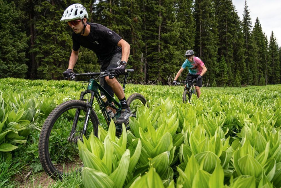 Revel Bikes