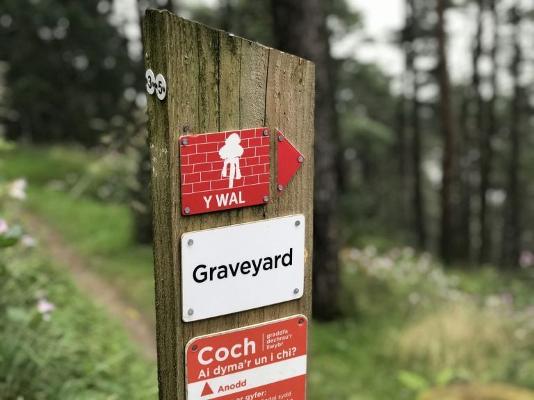 Diversions and Closures in Afan due to Tree Felling