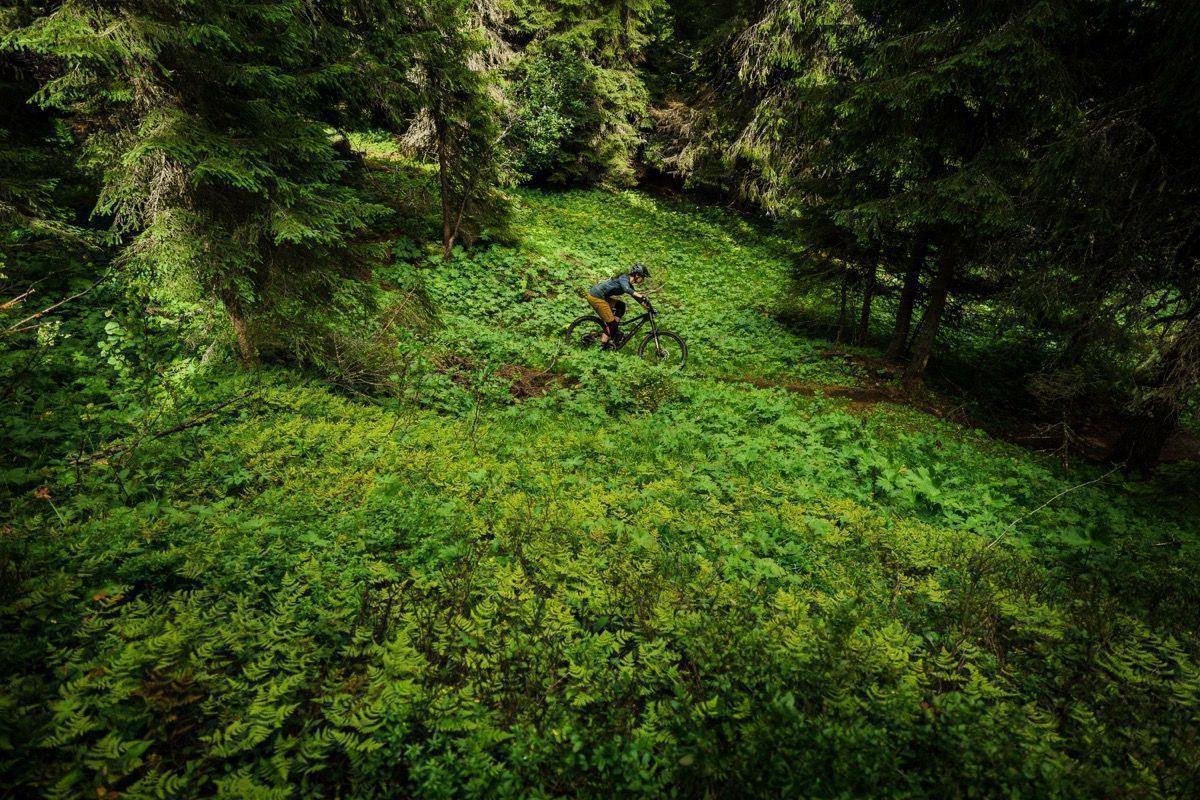 Åre Bike Park Manon Carpenter