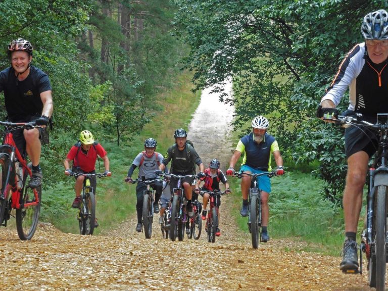 Would You Give In To An E-Bike – Or Resist?