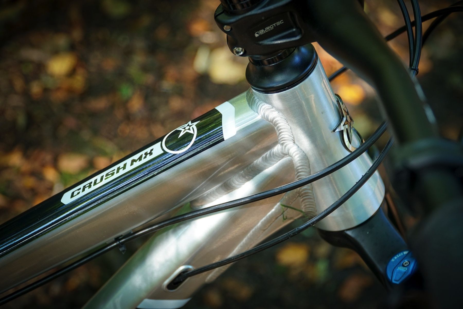 orange crush mx review