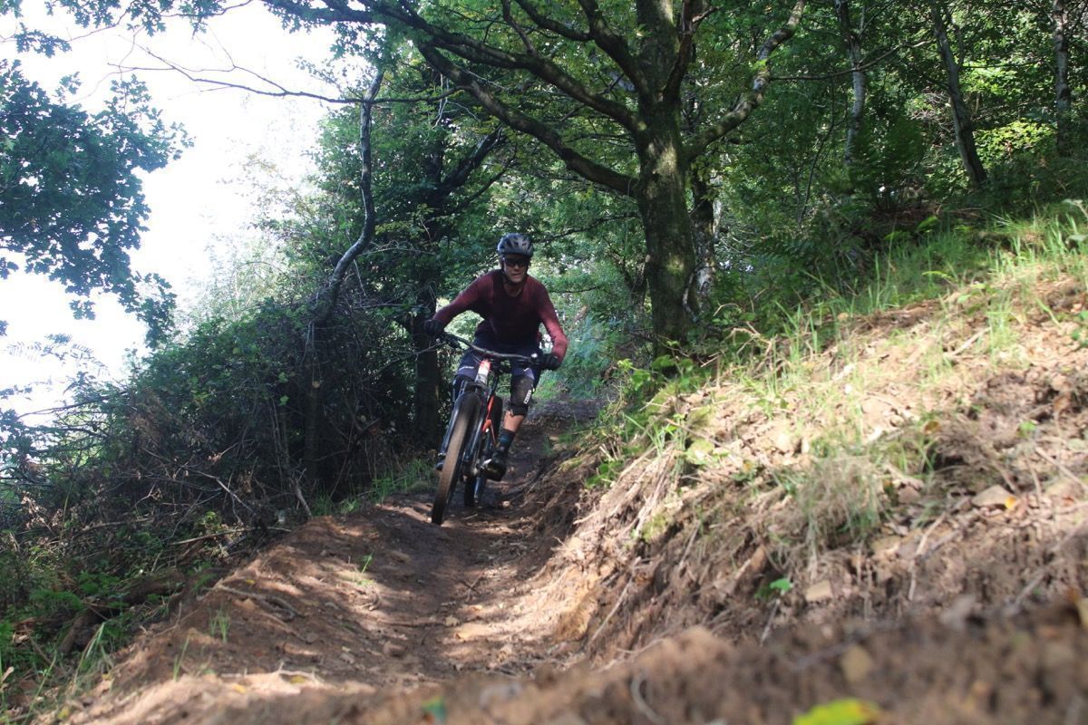 Canyon Strive