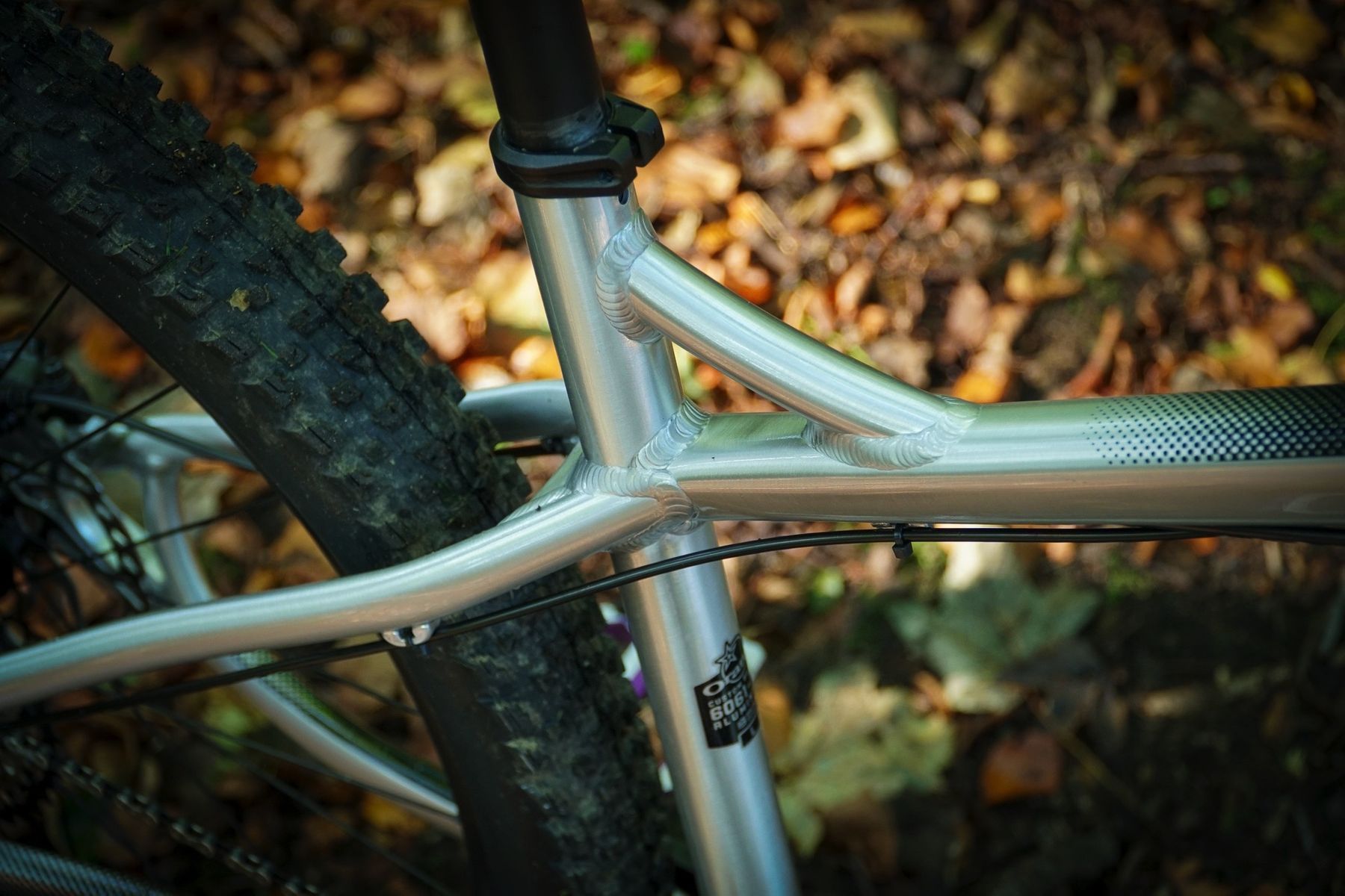 orange crush mx review