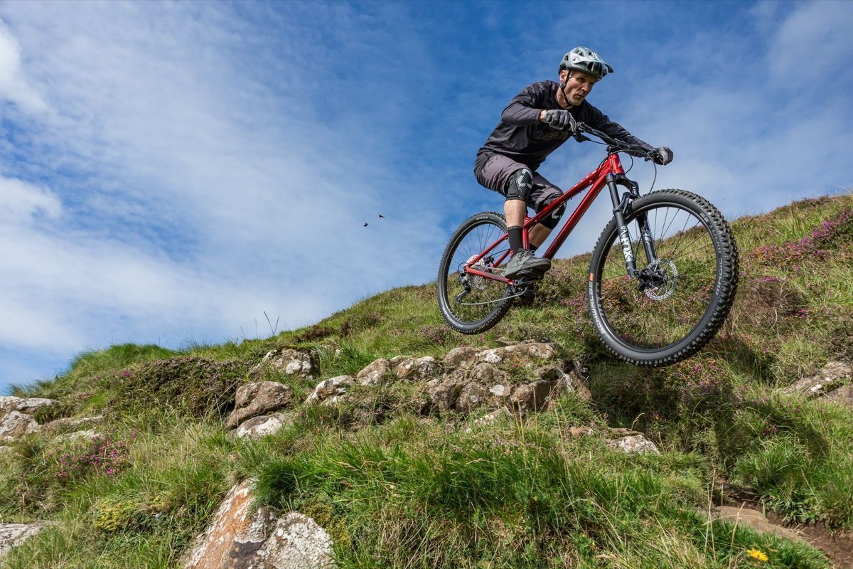 Vitus 2021 MTB
