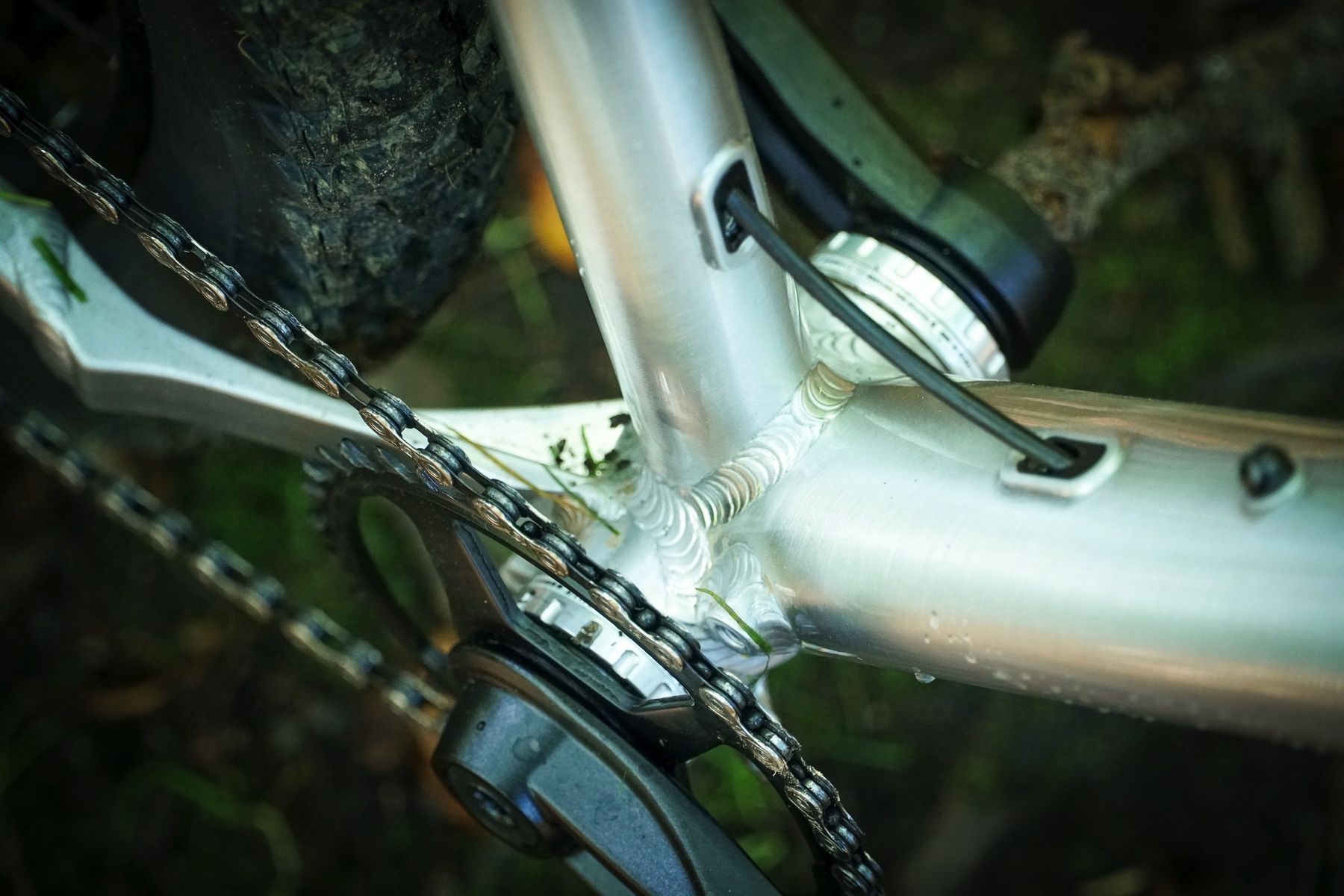 orange crush mx review