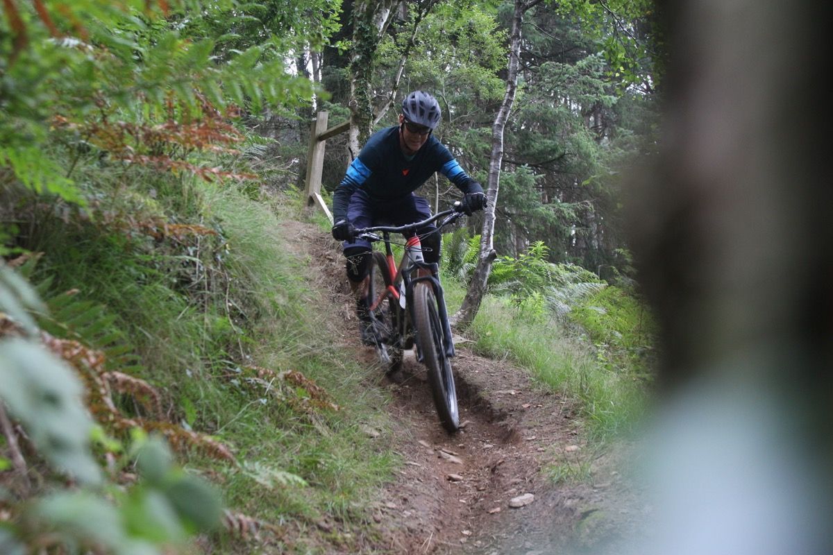 Canyon Strive