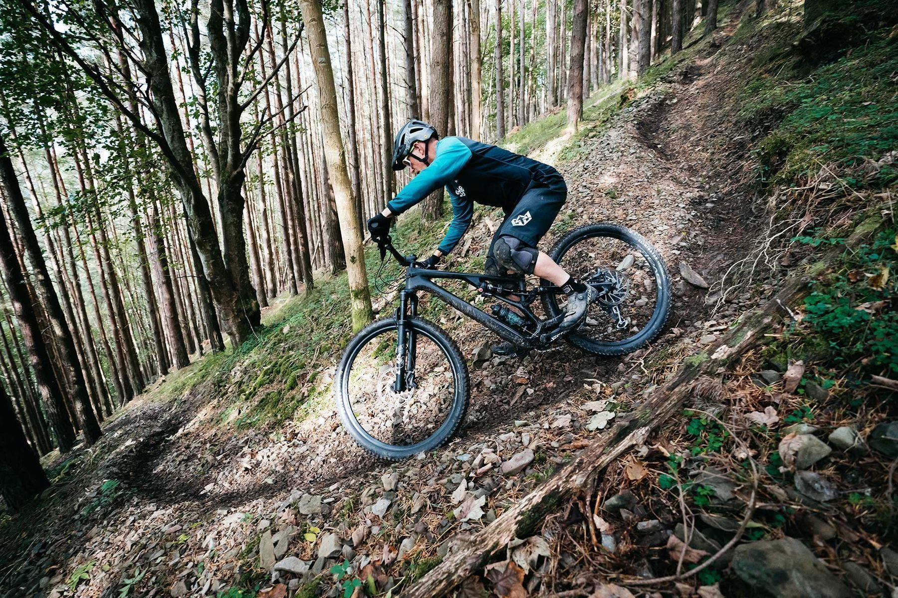 Specialized Bikes
