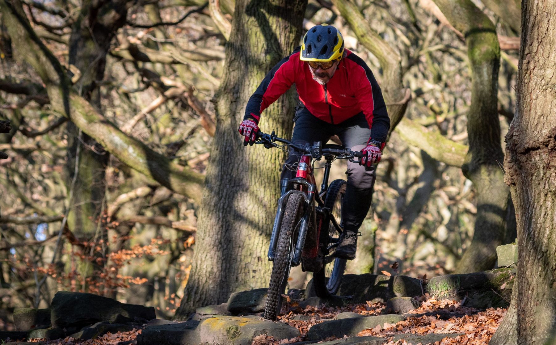 Marin Alpine E Trail
