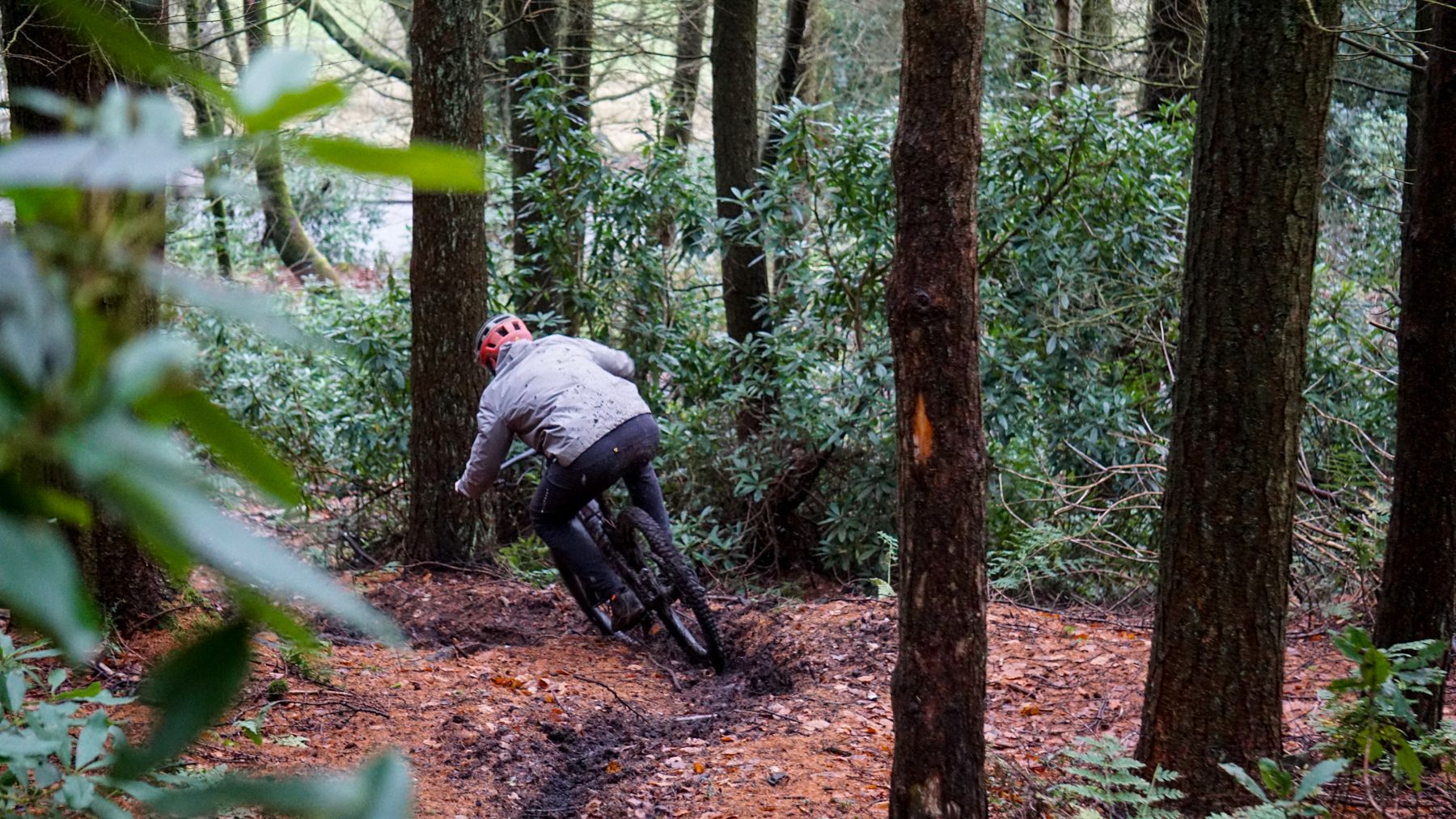 maxxis wetscream wet scream review