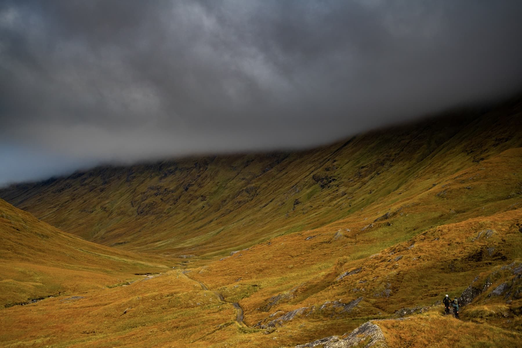 yt izzo pro race munro