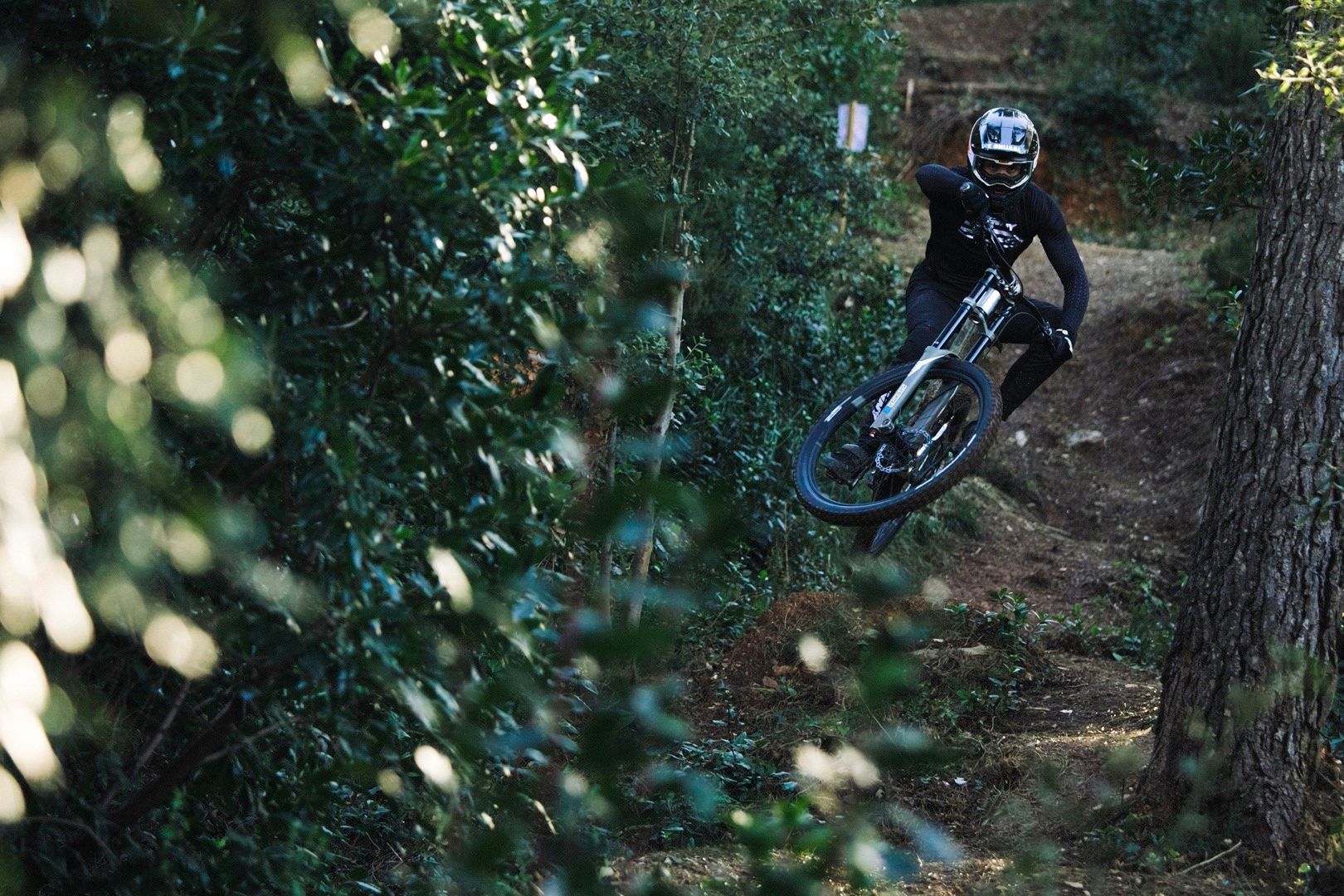 prototype production privee dh bike the brigade