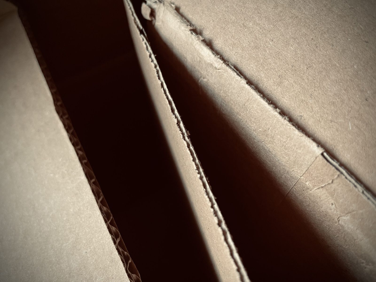 cardboard