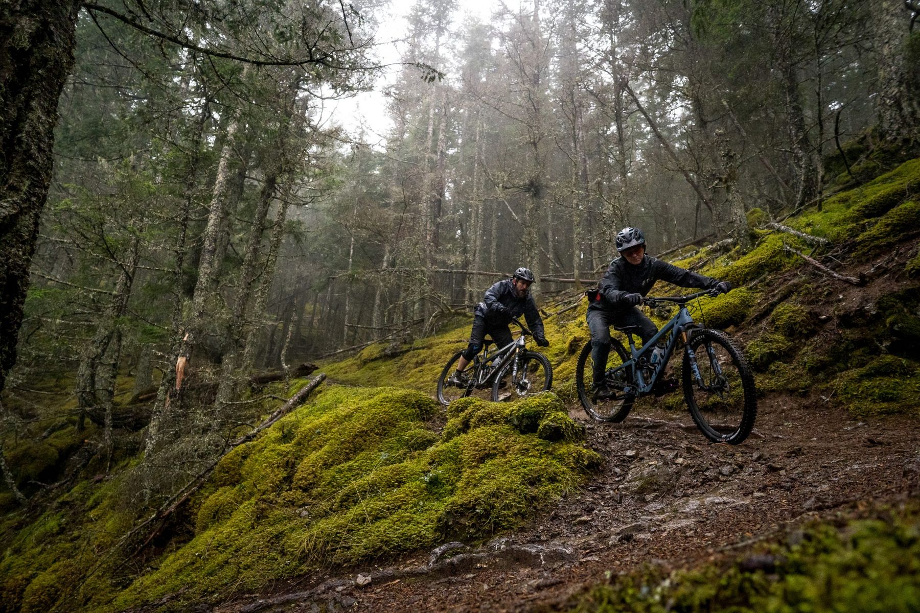 Pivot Trail 429