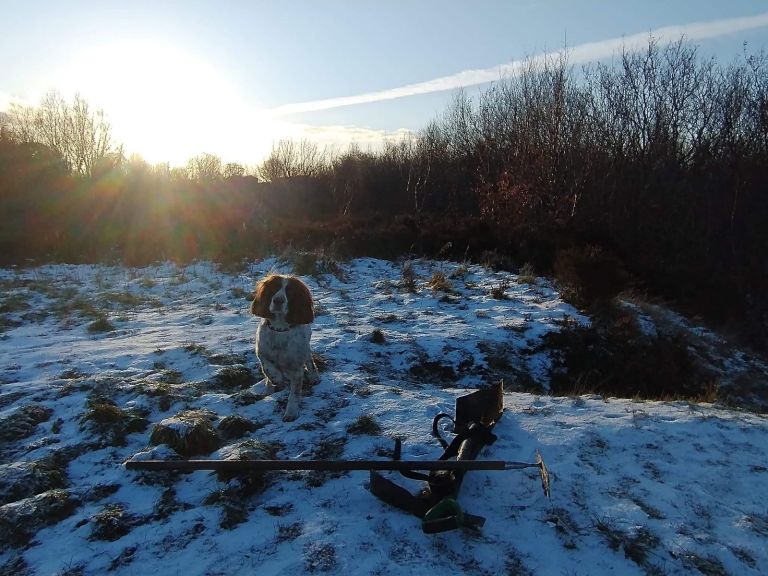 Opinion: The Illegal Trail Builder