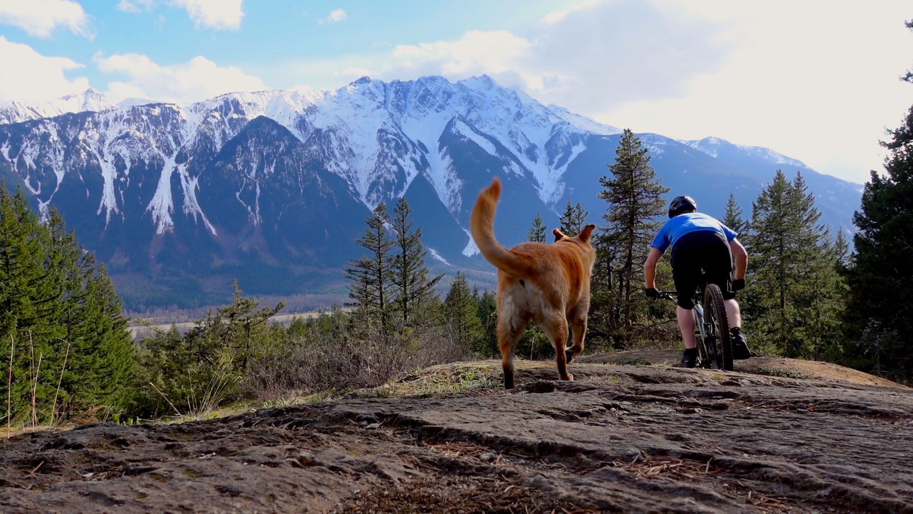 Singletrack Whistler Video Diaries Episode One – Cream Puff And Bears
