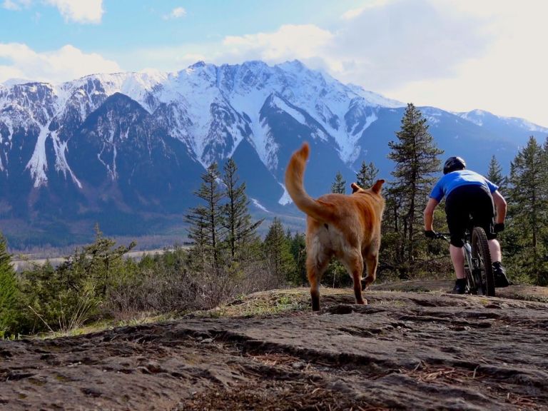 Singletrack Whistler Video Diaries Episode One – Cream Puff And Bears