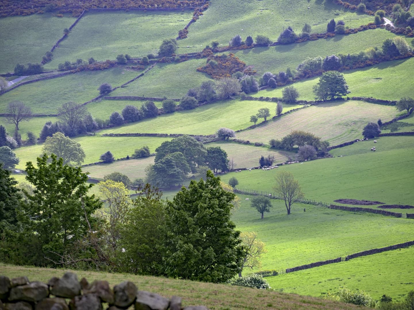 north york yorkshire moors classic mountain bike ride route