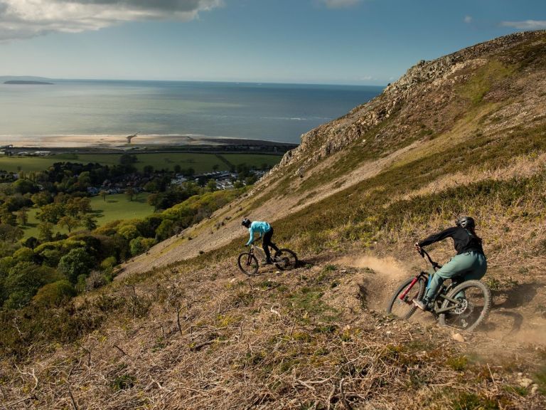 Santa Cruz Launches New Bronson and Juliana Roubion