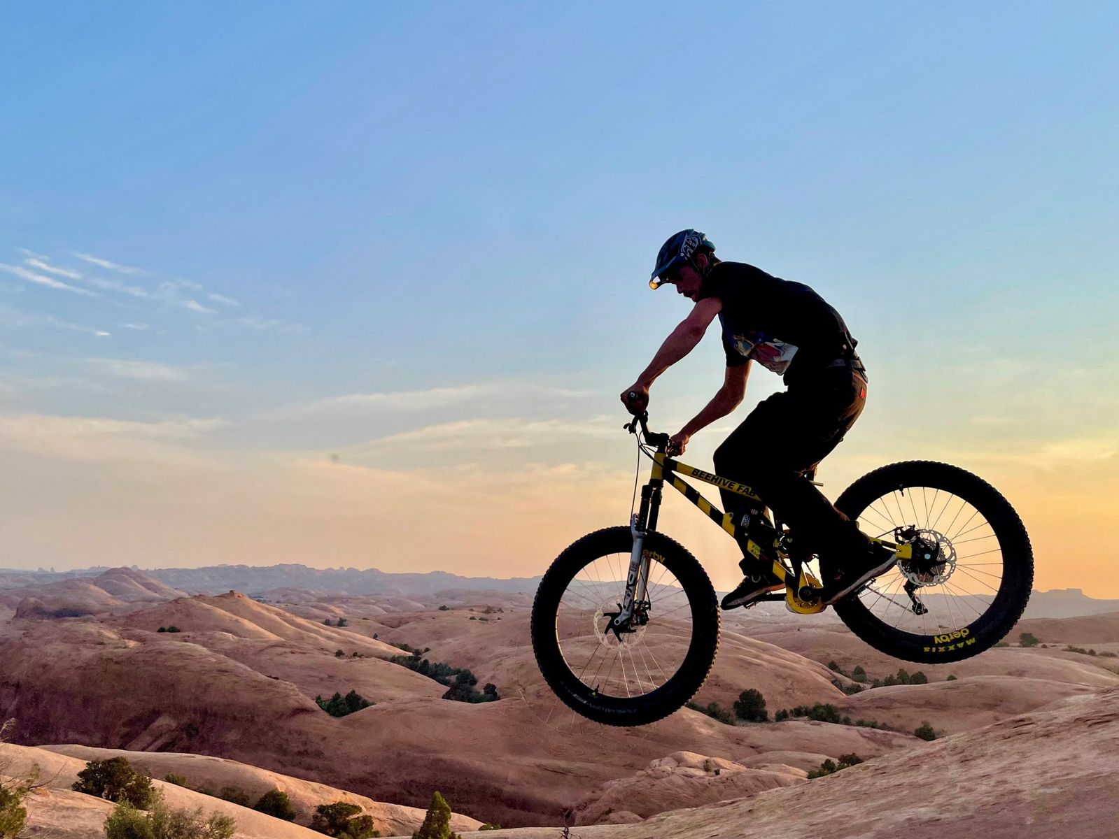 BeeLine Bike