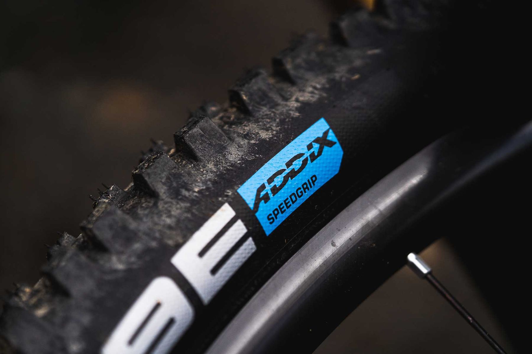 Schwalbe Wicked Will Tyre – All Round Fast Trail Rubber