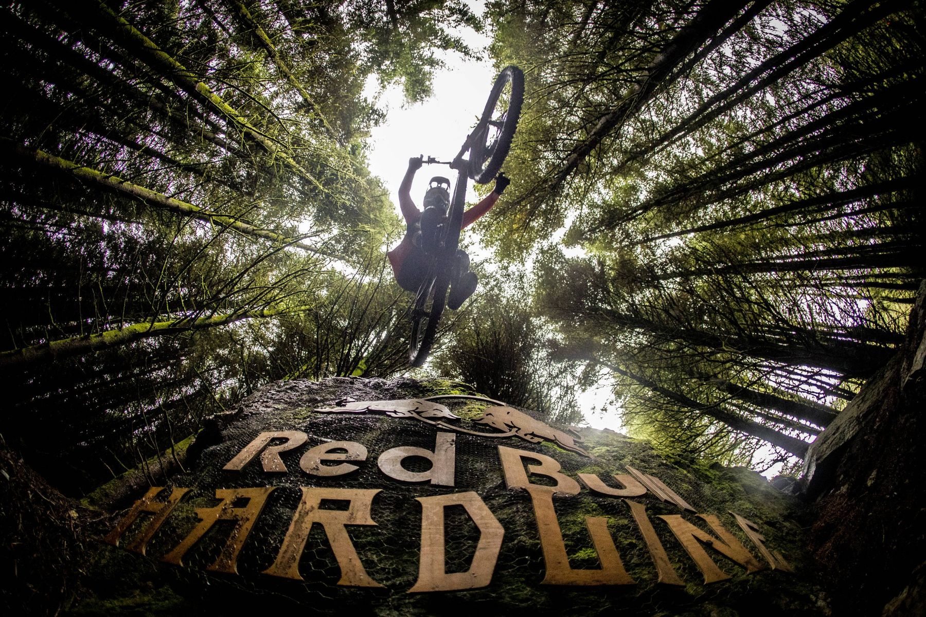 Updated: Red Bull Hardline Returns for 2021