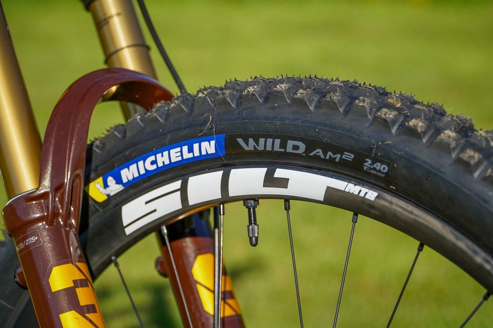 Review | Michelin Wild AM and Force AM tyres, as good as their Enduro cousins?