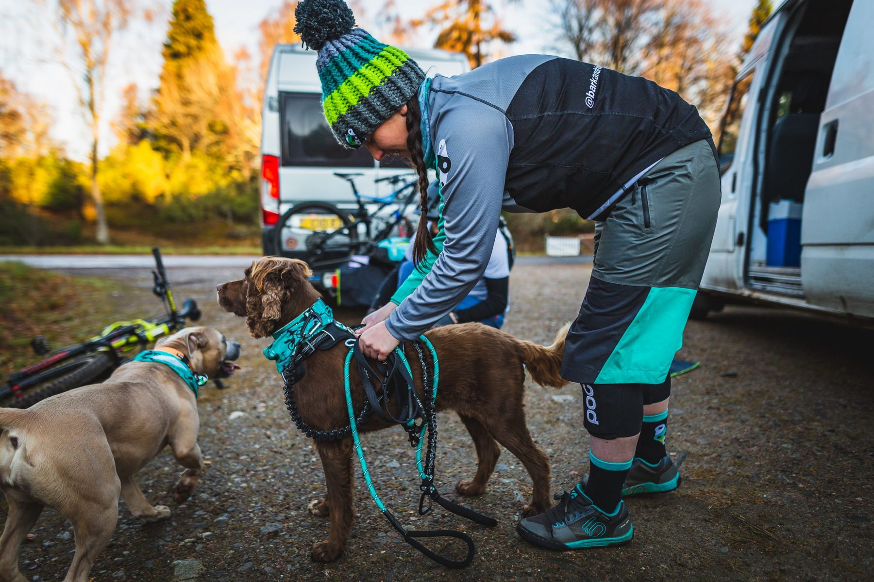 Bark and Ride