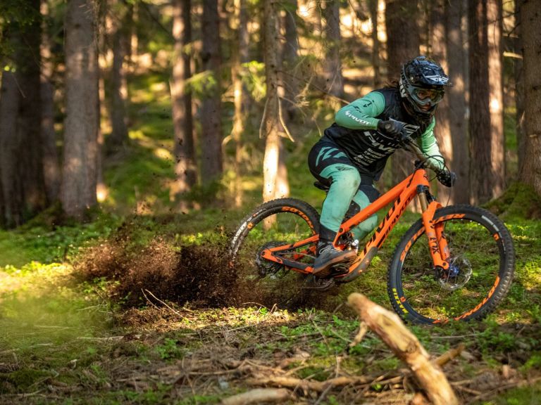The New Pivot Firebird Range Tops out at Over £15k