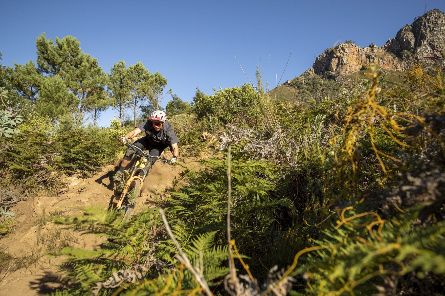 Greg Minnaar
