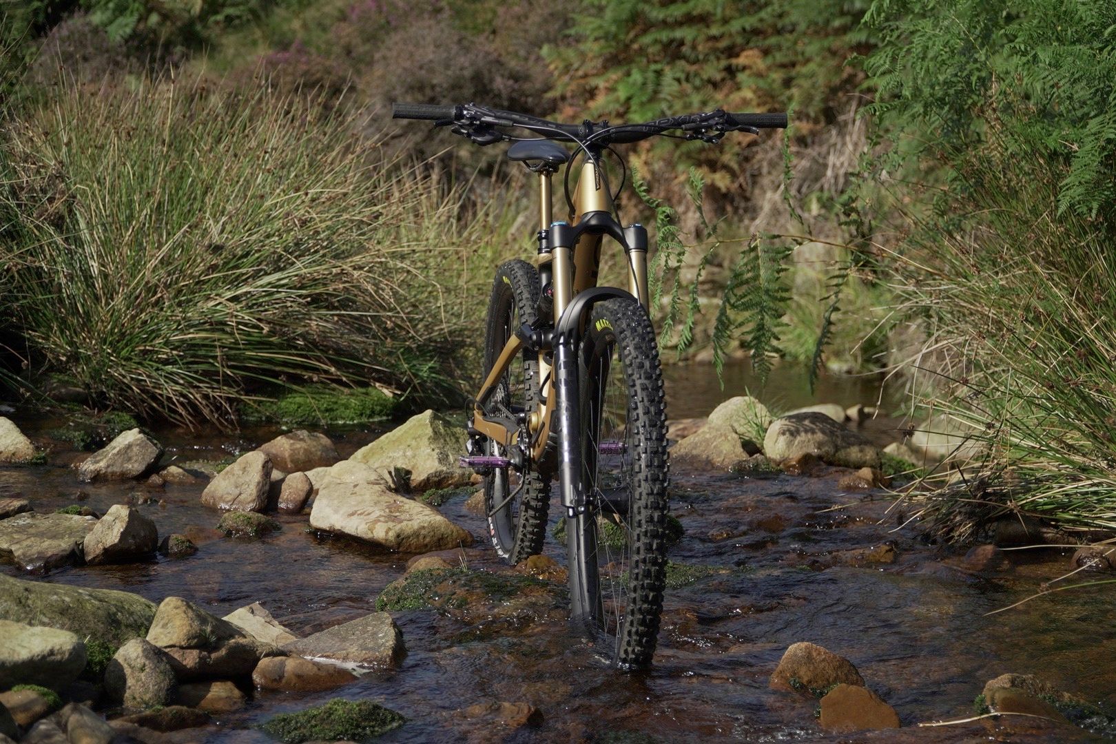 2022 orbea rallon