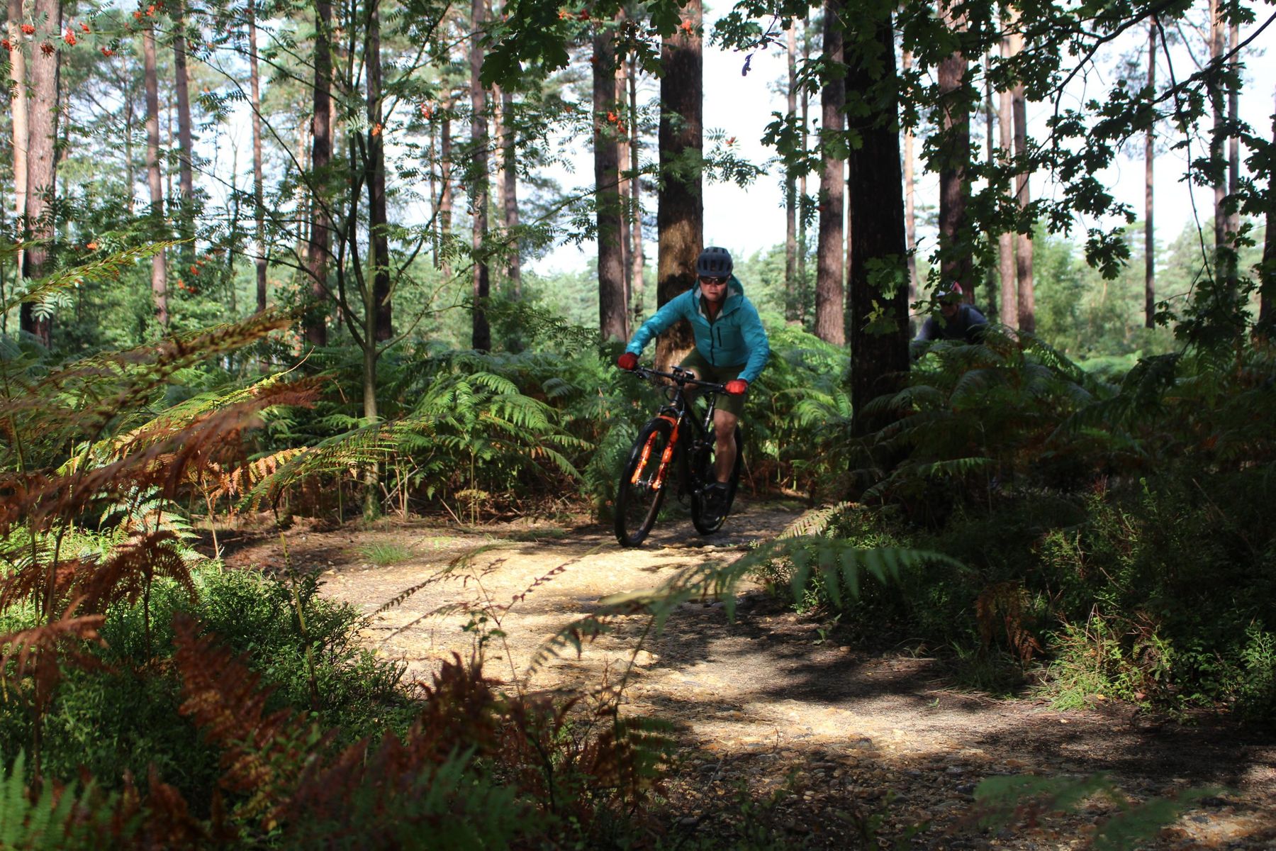 Dr Chris Leatt Swinley