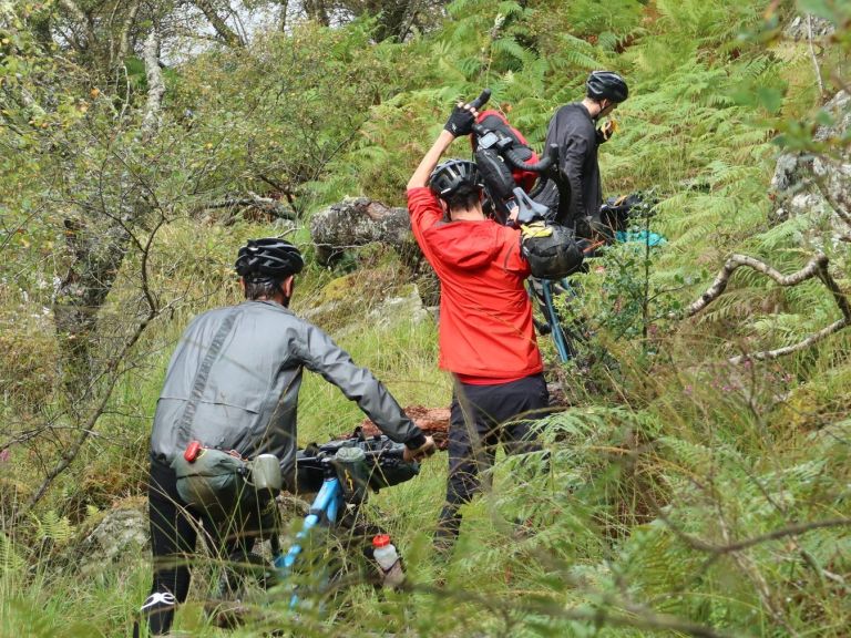 Surly Dunoon Dirt Dash or Bramble Bash?