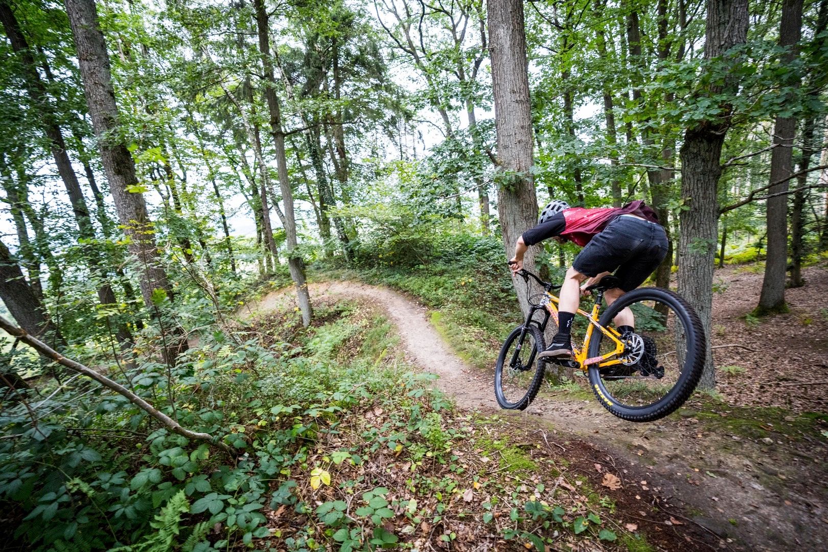 The Carbon Chameleon is dead long live the aluminium Chameleon