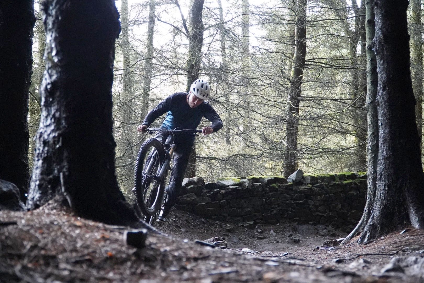 YT Capra Core 4 29 review