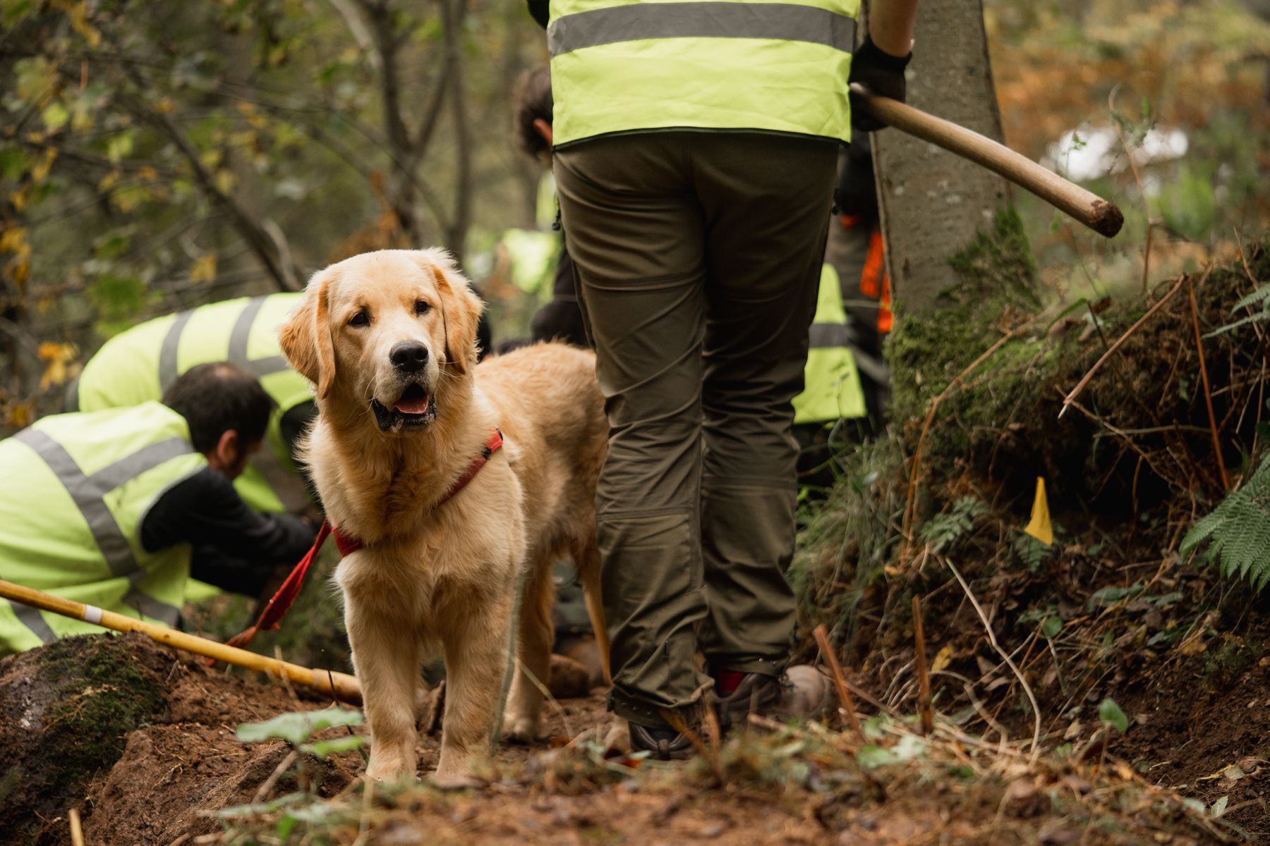 Coming together for the future of our trails | The Scottish Mountain Bike Trail Summit 2021